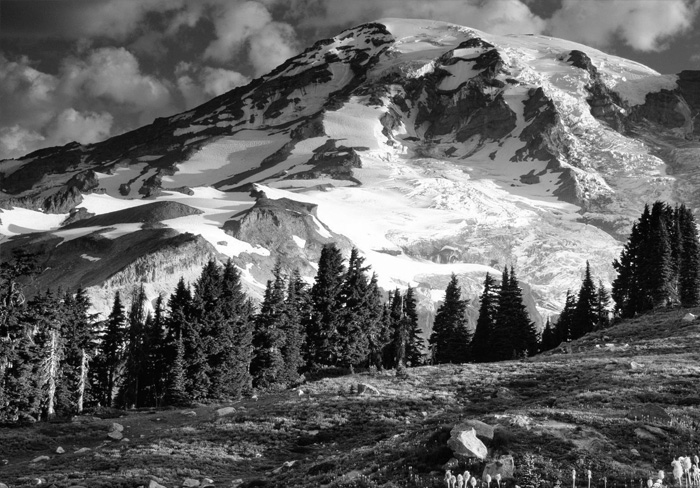Rainer